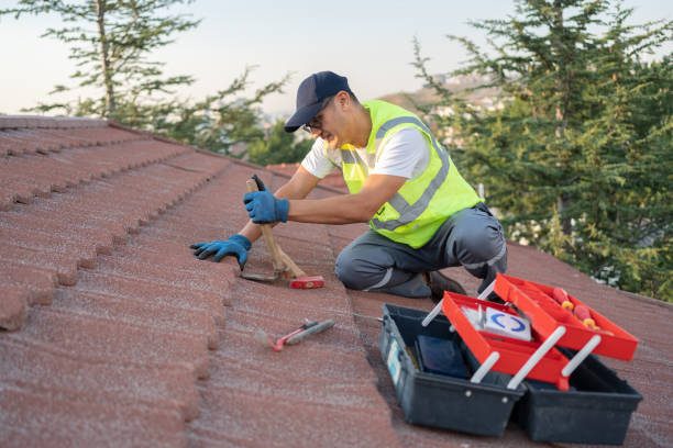 Best Emergency Roof Repair Services  in Harrison, TN